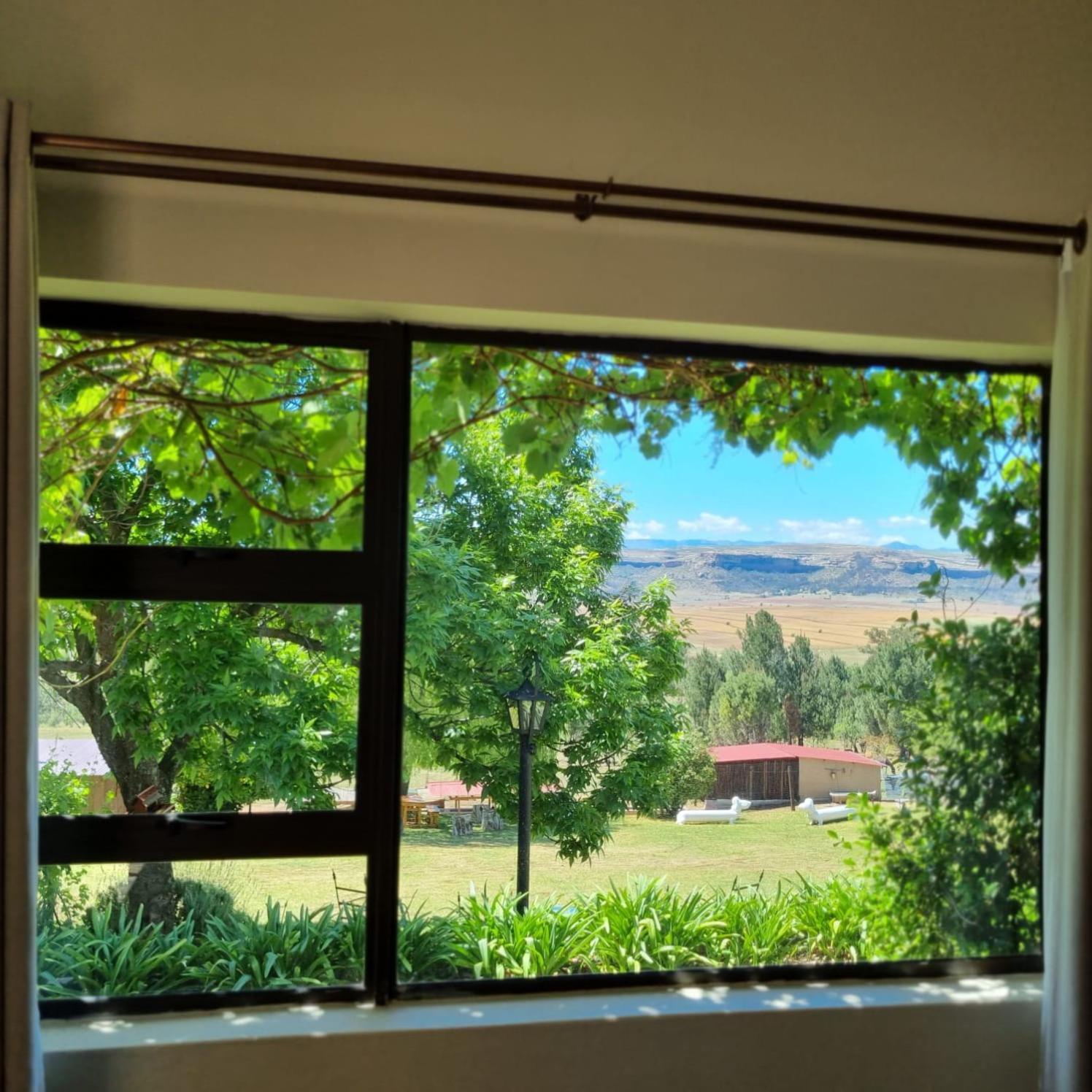 The Fat Mulberry Guest Farm Hotel Fouriesburg Bagian luar foto
